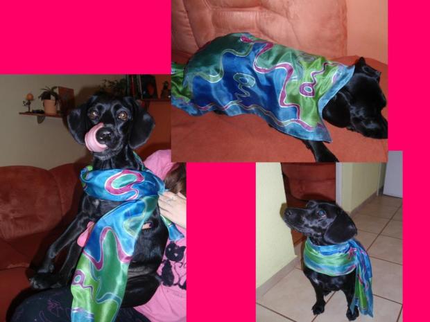 meandre, Maľovaný textil meandre, Maľovaný textil, Gama, 1