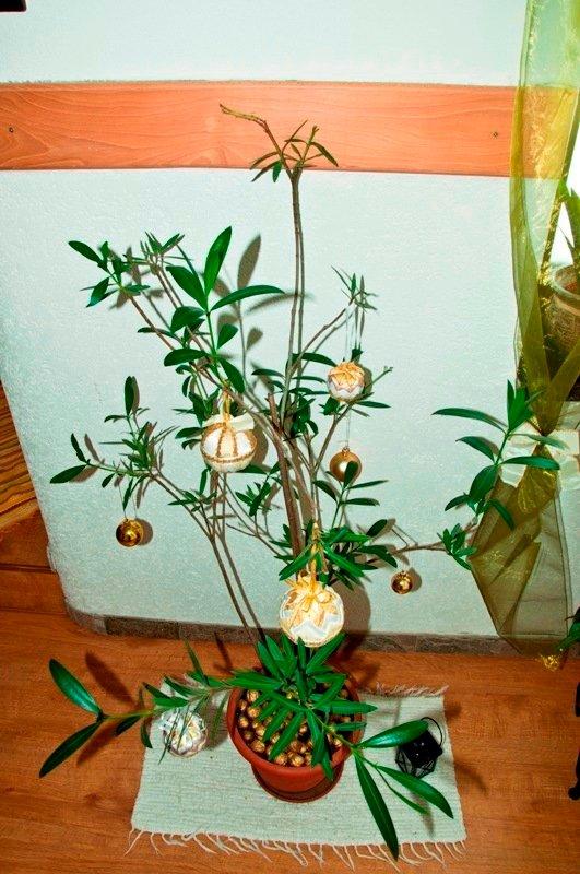 vianoce 2010, margita1963, 1