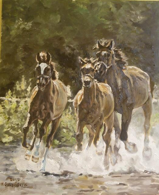 galop, Maľovanie galop, Maľovanie, miag, 1