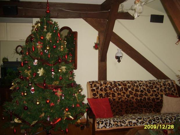 Vianočný strom 2009, ornela791, 1