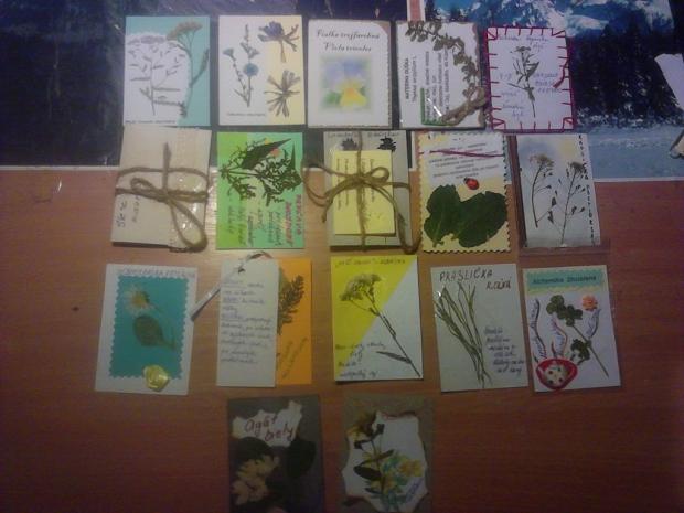 ATC Herbarium , Swap ATC Herbarium , Swap, fuffu1, 1