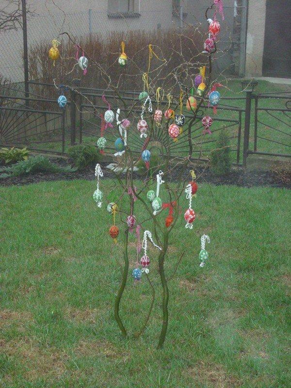 Ozdobená vŕba, Cherry, 1