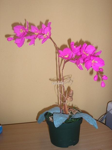 orchidea, Papierové pletenie orchidea, Papierové pletenie, Mata H., 1