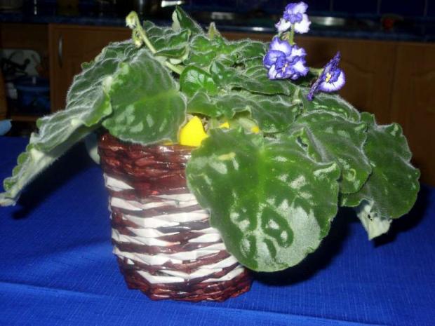  pletenie u Bernušky, Papierové pletenie, Pipuška, 1